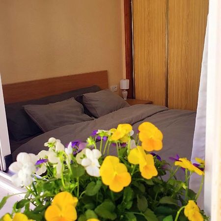 Isamar Apartamento Playa Del Cura 托雷维耶哈 外观 照片