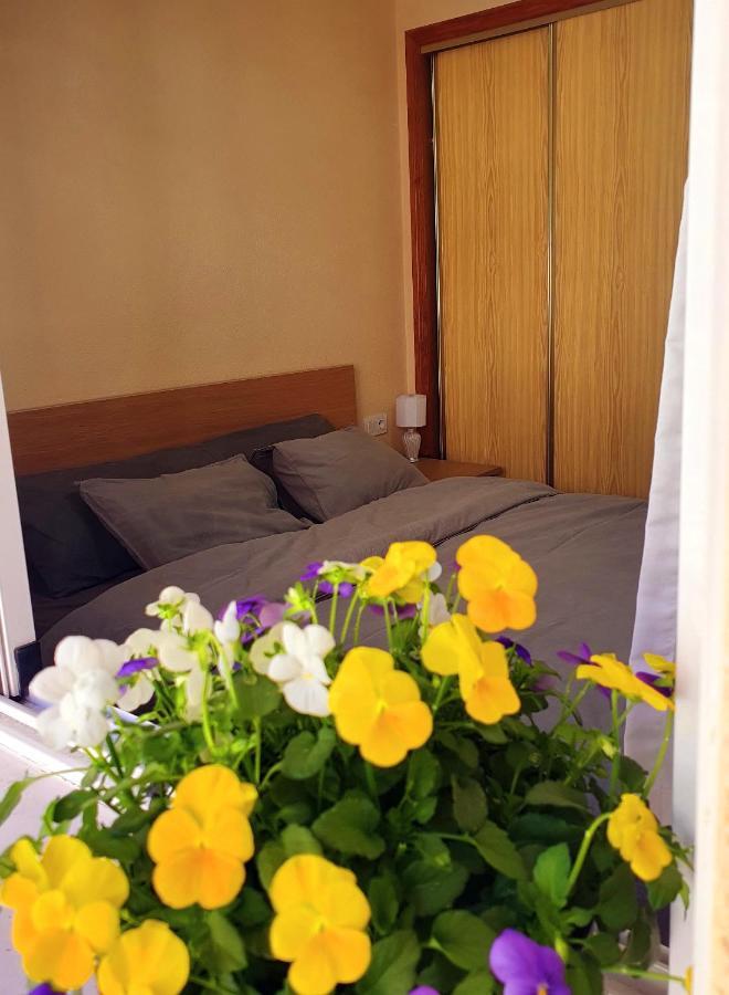 Isamar Apartamento Playa Del Cura 托雷维耶哈 外观 照片